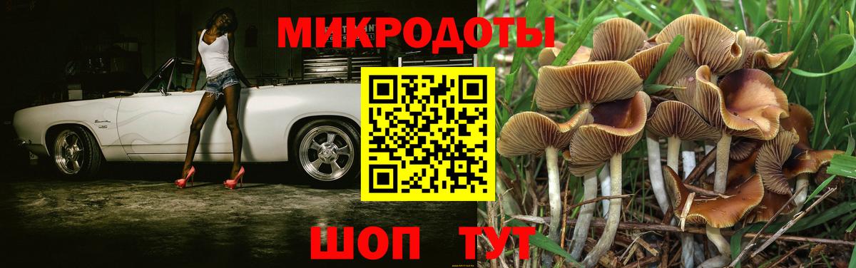 Галлюциногенные грибы Cubensis Калининград